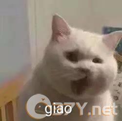 一giao我里giaogiao表情包分享