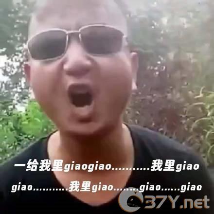 一giao我里giaogiao表情包分享