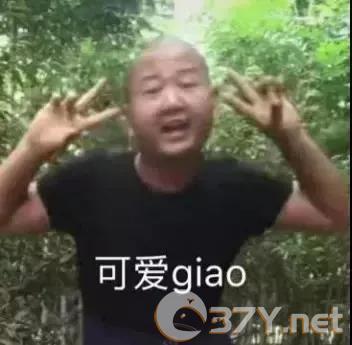 一giao我里giaogiao表情包分享