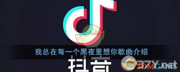 《抖音》我总在每一个黑夜里想你歌曲介绍