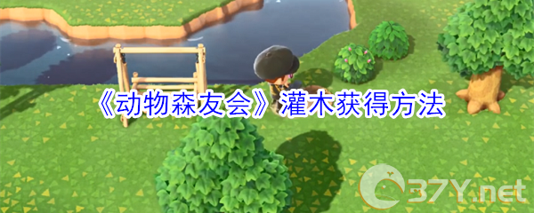 《动物森友会》灌木获得方法