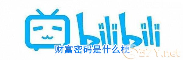财富密码是什么梗