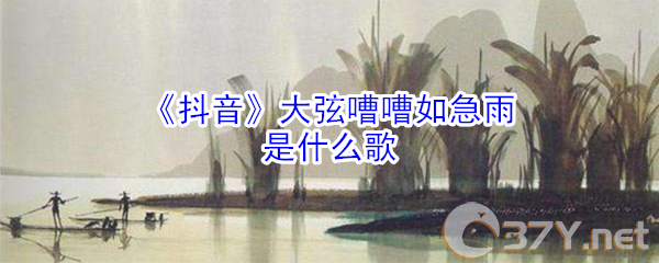 《抖音》大弦嘈嘈如急雨是什么歌