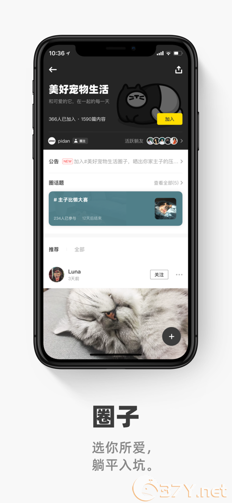 《躺平》app下载地址分享