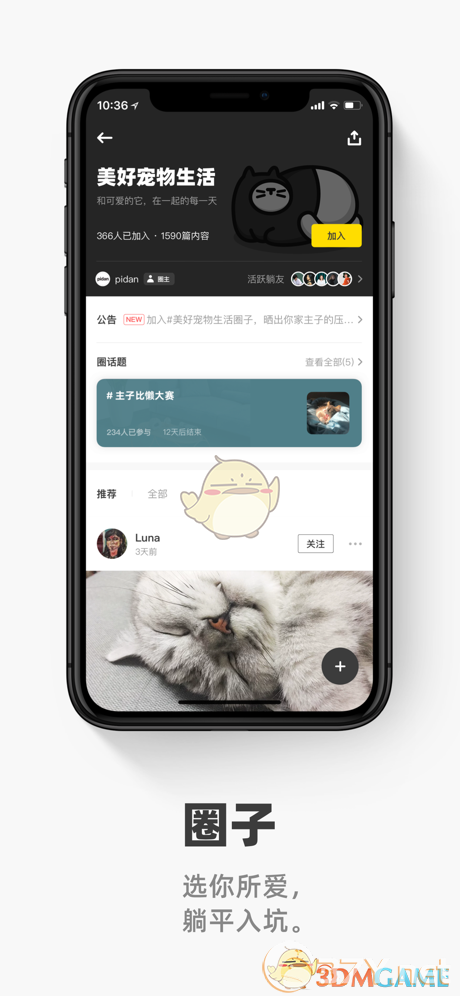 《躺平》建立圈子方法详解