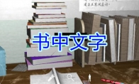 《孙美琪疑案-王思凤》五级线索——书中文字