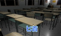 《孙美琪疑案-王思凤》五级线索——匕首