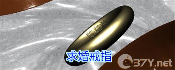 《孙美琪疑案-王思凤》五级线索——求婚戒指