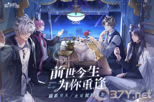 猫之宿约者最新版