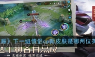 《王者荣耀》下一组情侣cp新皮肤是哪两位英雄介绍