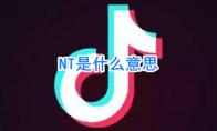 NT是什么意思