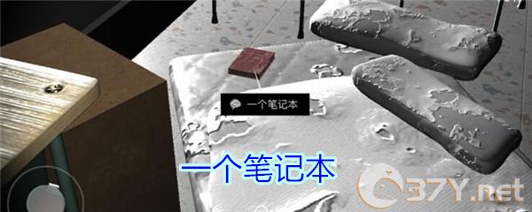 《孙美琪疑案-王思凤》三级线索——一个笔记本