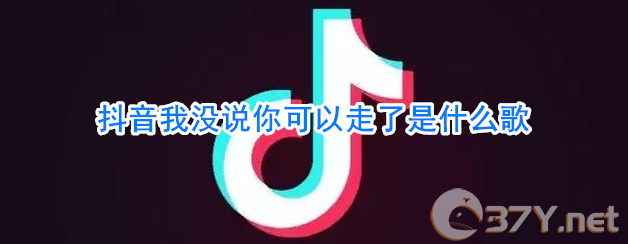 抖音我没说你可以走了是什么歌