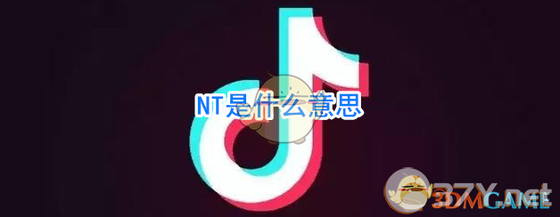 NT是什么意思
