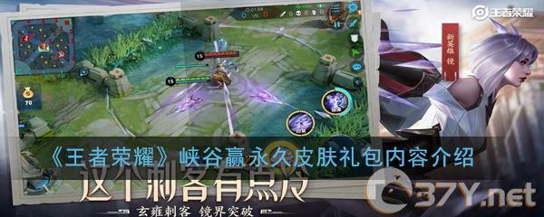 《王者荣耀》峡谷赢永久皮肤礼包内容介绍
