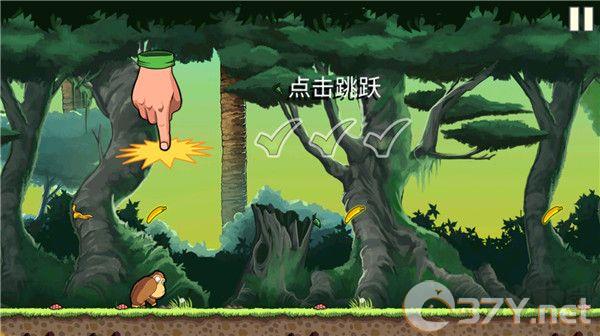 香蕉金刚
