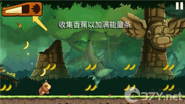 香蕉金刚