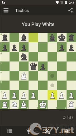 国际象棋大师