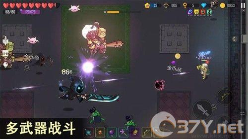 雨叶岛传说2025
