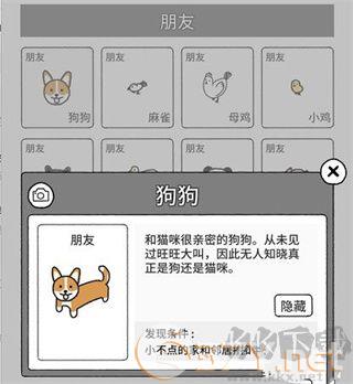 猫咪真的很可爱