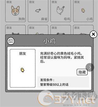 猫咪真的很可爱