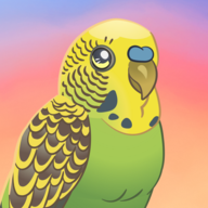 鸟类世界（Bird Kind） v1.13安卓版