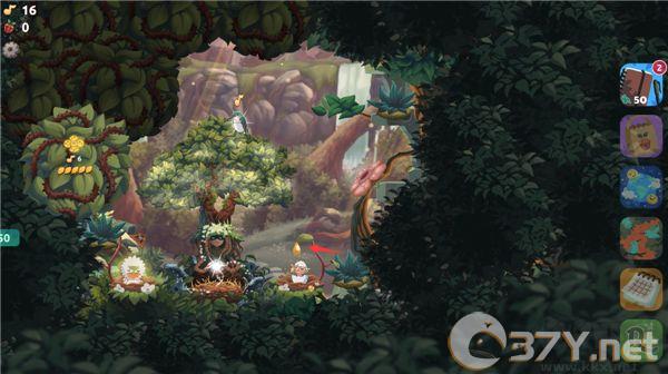 鸟类世界（Bird Kind）