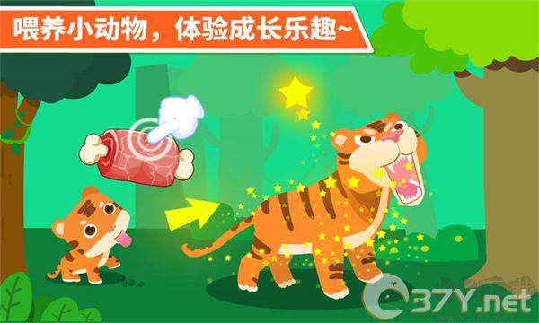 动物乐园游戏