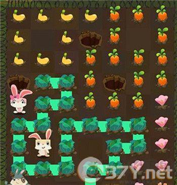 兔子复仇记新版