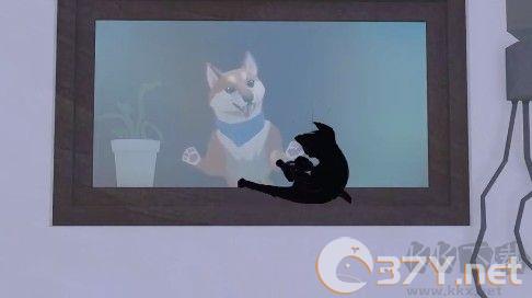 大城小猫模拟器