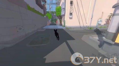 大城小猫模拟器
